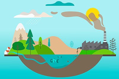 vector graphic of a freshwater ecosystem
