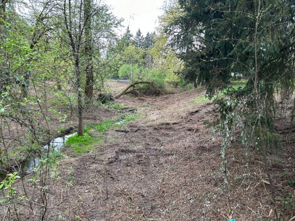 Boeckman Creek Flow Mitigation